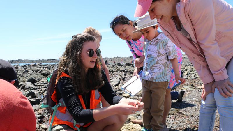 Showing Volunteers a Green Crab