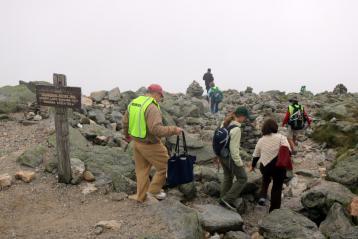 Volunteers head down the Tuckerman Ravine Trail to seek dandelions