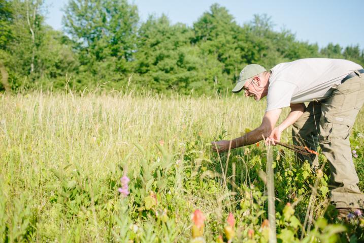 Plant Conservation Volunteers in action
