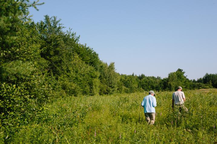 plant conservation volunteers in the field