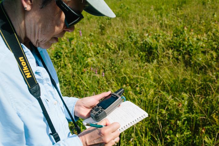 plant conservation volunteers in action