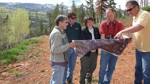 group looking at a map