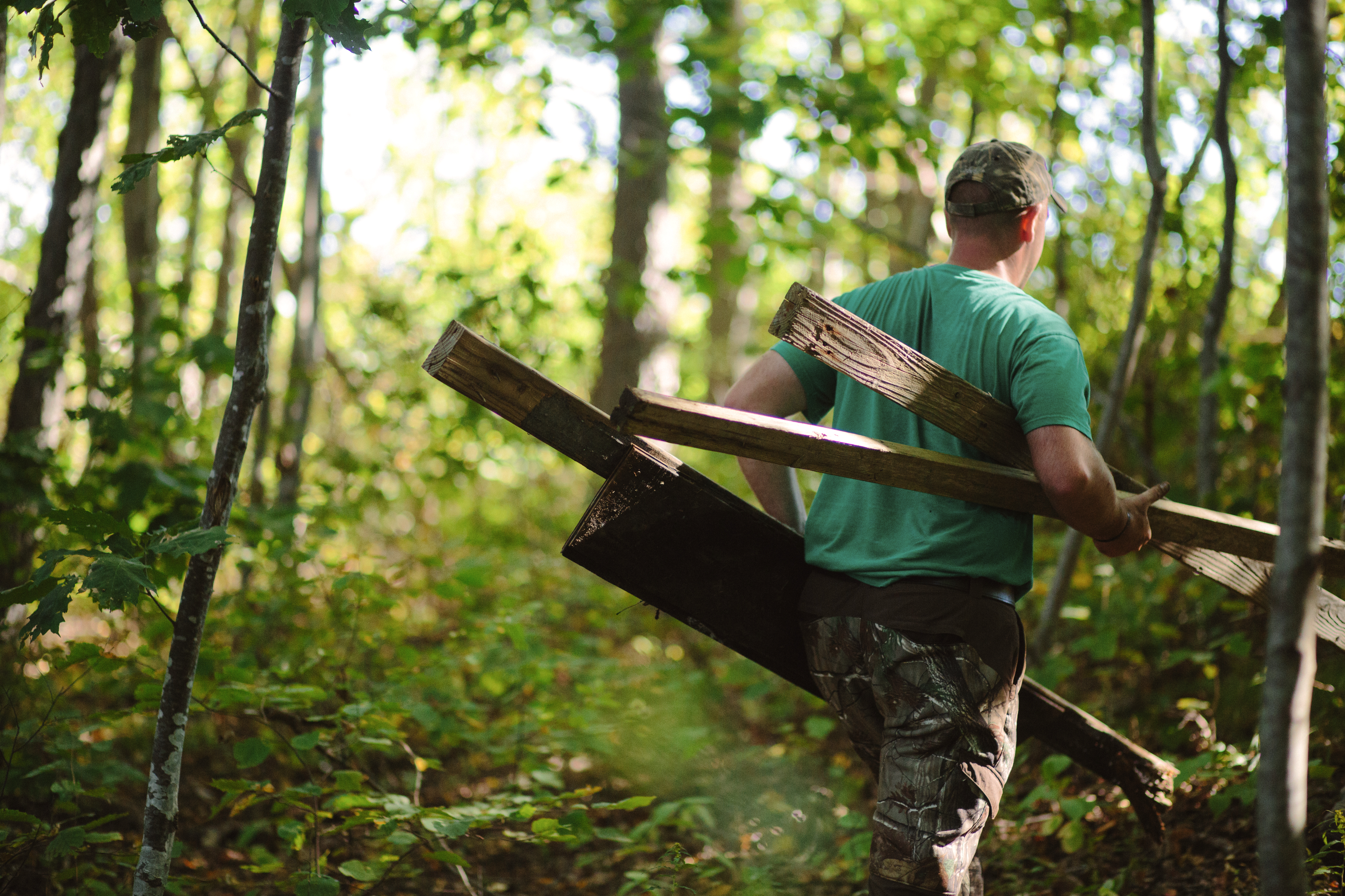 Person carrying logs in the woods