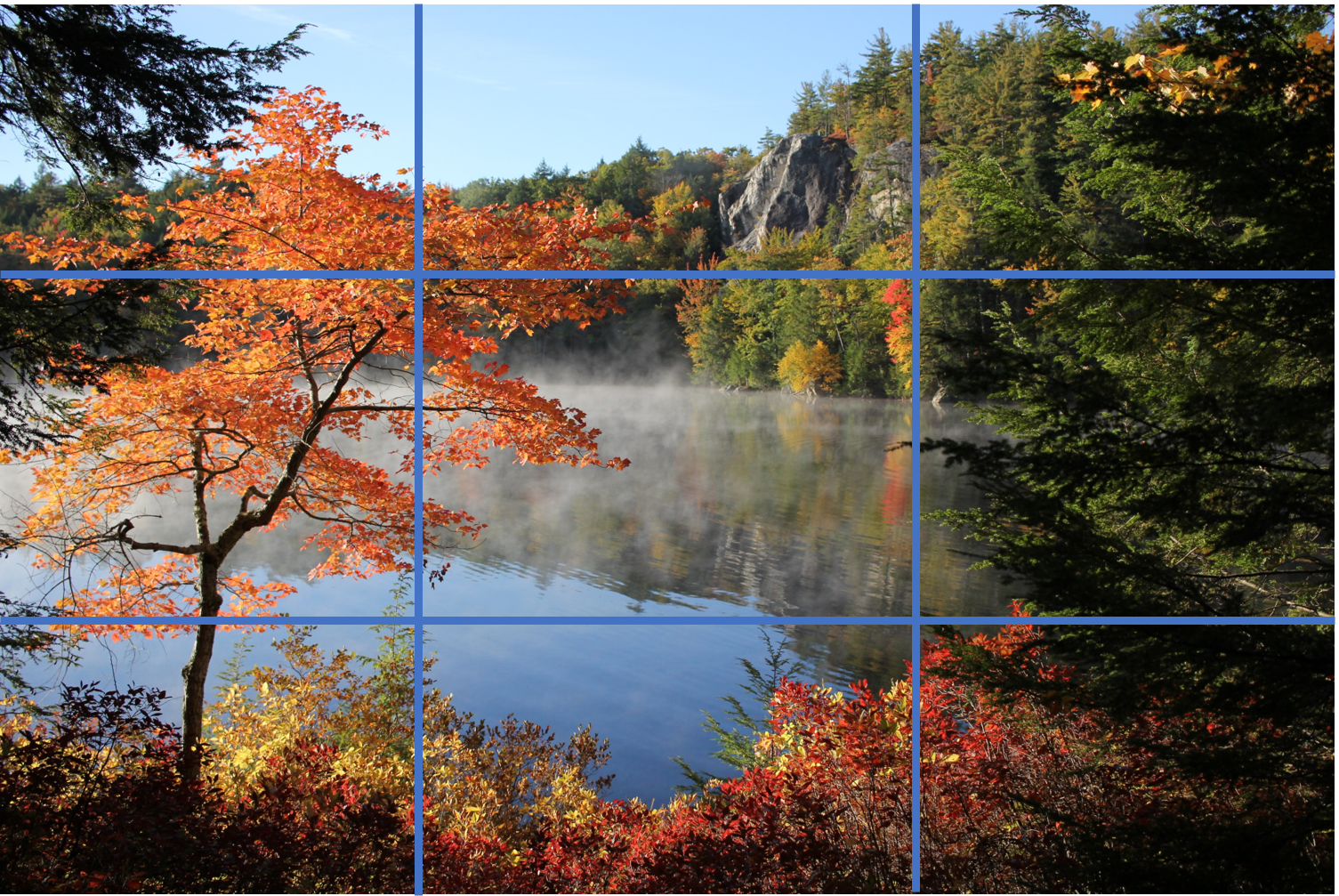 a photo of a pond overlaid with a grid to show the rule of thirds for photographic composition.