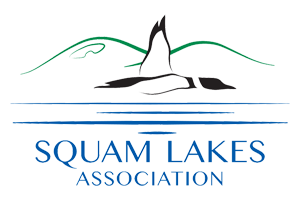 Squam Lakes Association logo