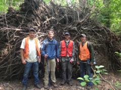 Tomas in the field with UNH woodlands office crew