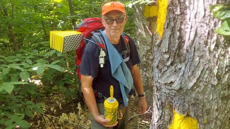 Volunteer marking a tree