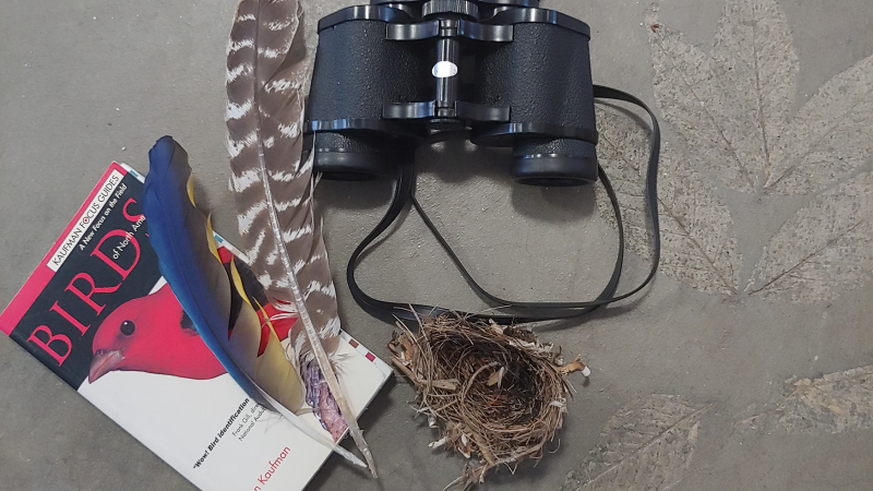 Birding Tools