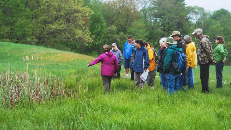 Volunteers in a grassland