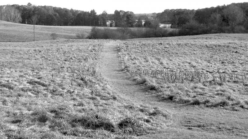 Farm Black and White