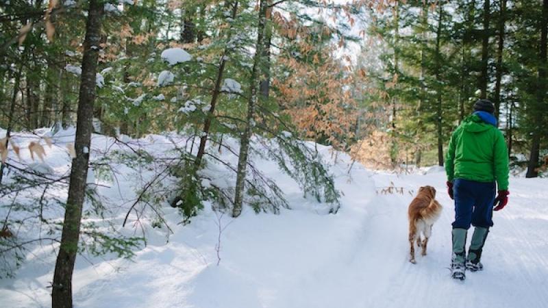 Winter Hiking with dog