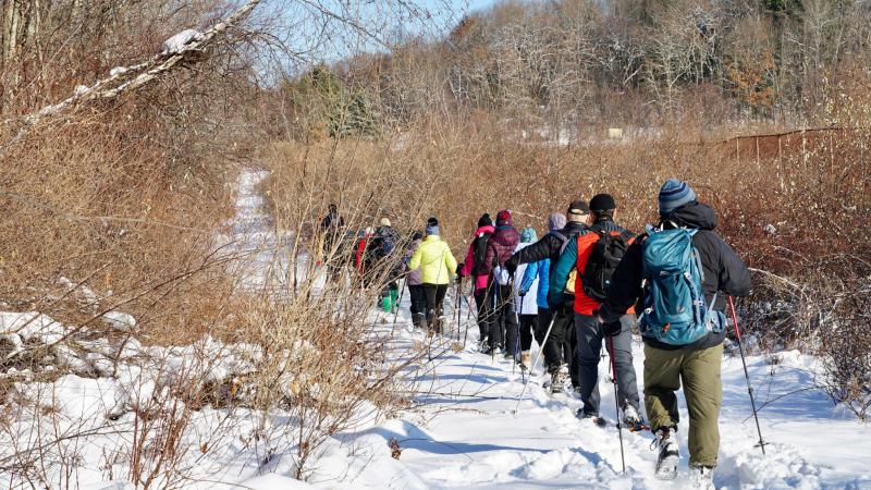 Volunteers Snowshoeing