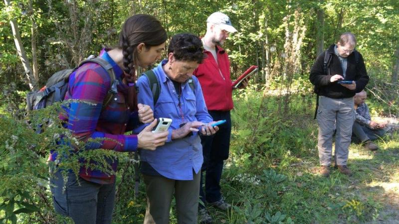volunteers being trained in the woods