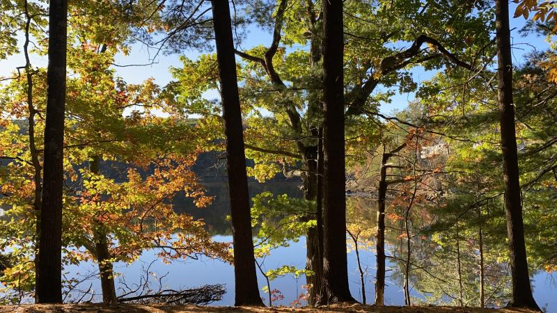 view of heron pond