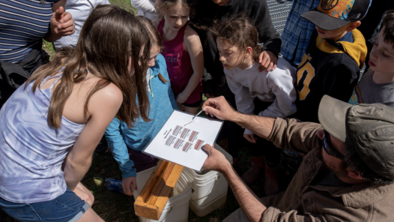 Kids learning about glass eels