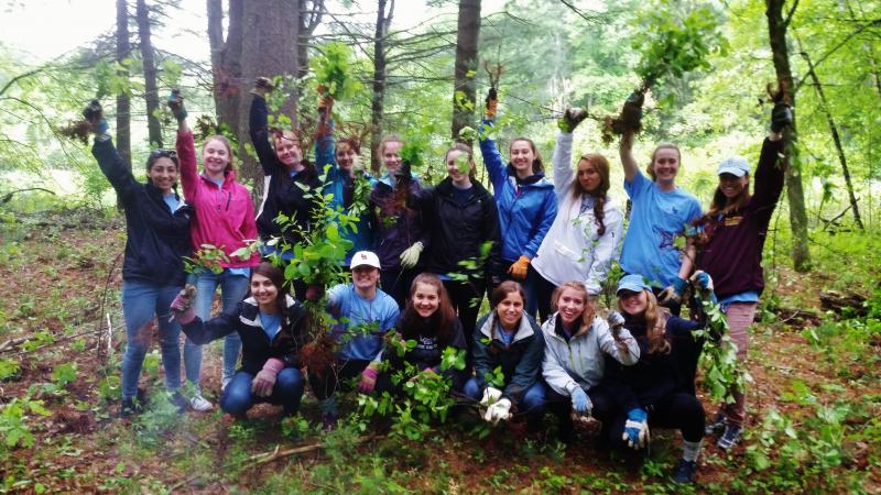 Volunteers holding glossy buckthorn