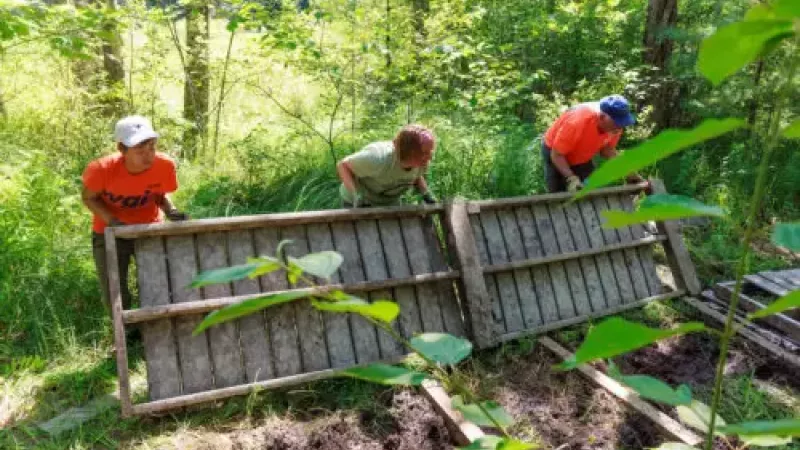 volunteers removing bog bridge