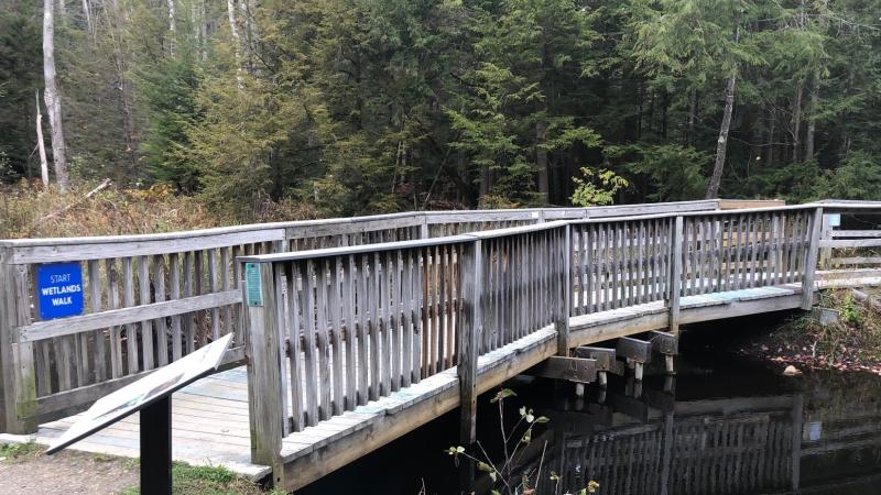 Wetlands Boardwalk