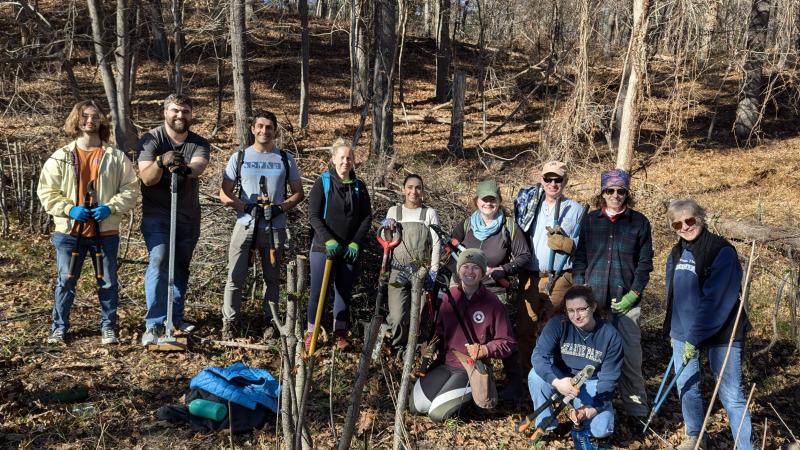 Invasive plant removal volunteers