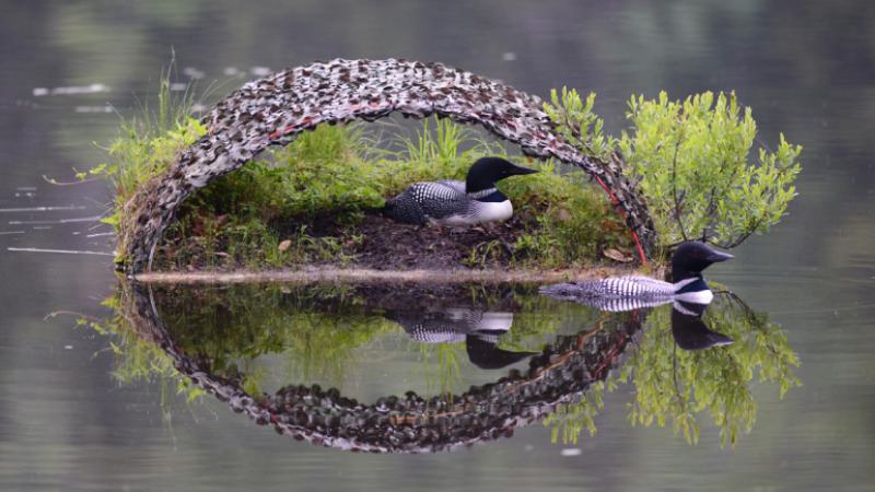 Loon Raft