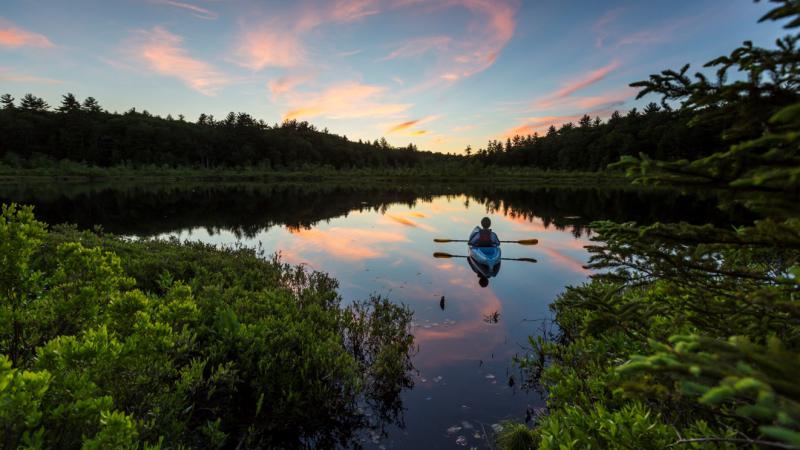 Kayaker