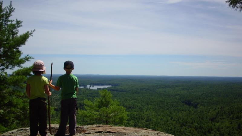 Children looking out at a forest.