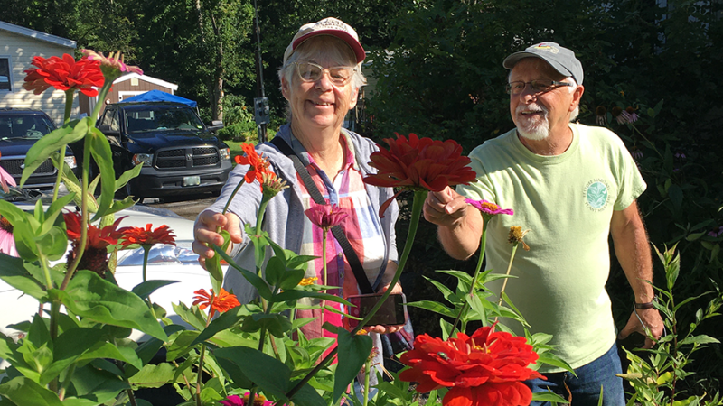 two people looking at flowers