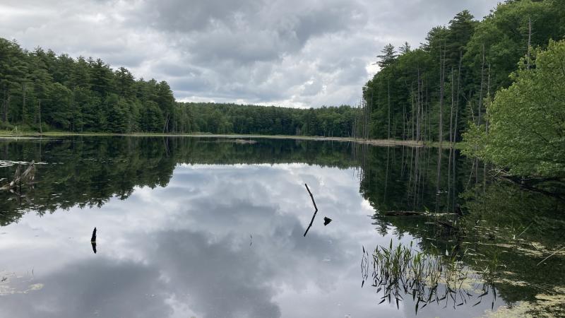 Small pond in Stow MA