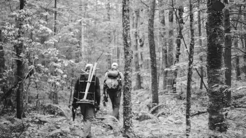 looking at the back of volunteers walking on a trail
