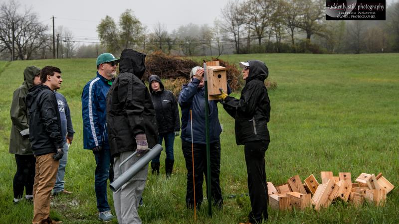 volunteers cleaning bluebird house