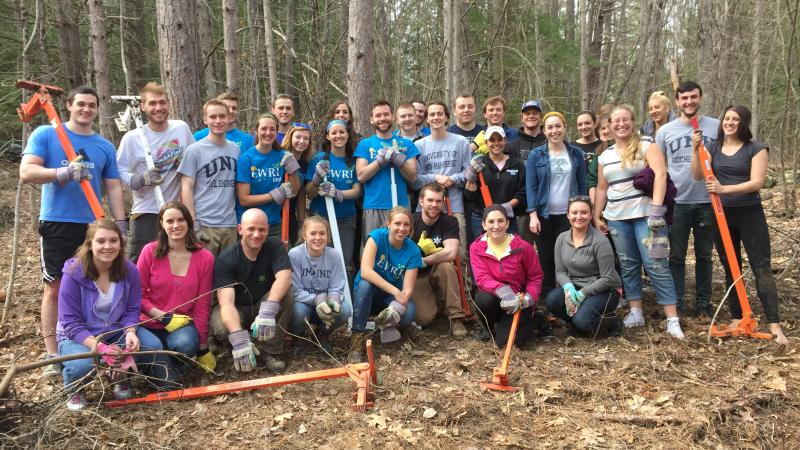 Buckthorn Blitz 2 _ 2017