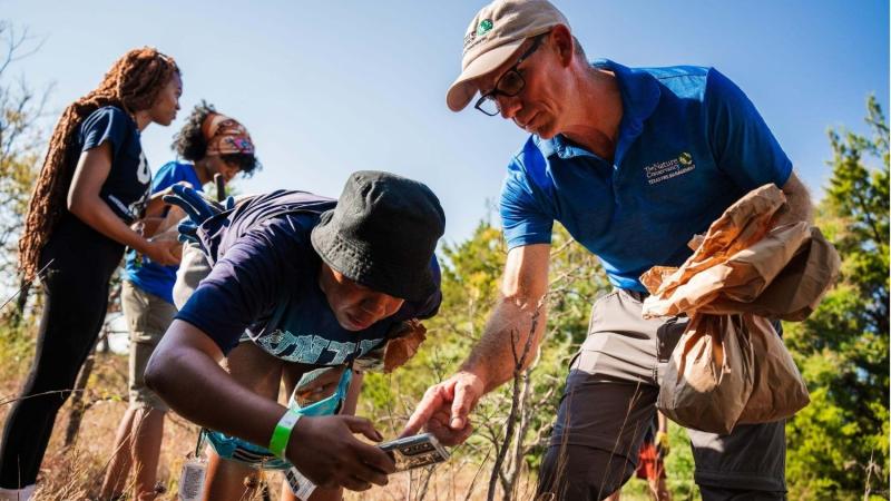people using phone to identify species