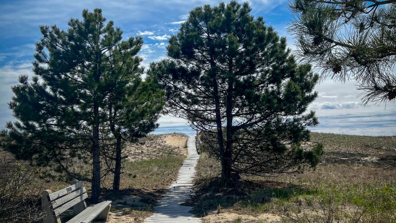 walkway over sand dune