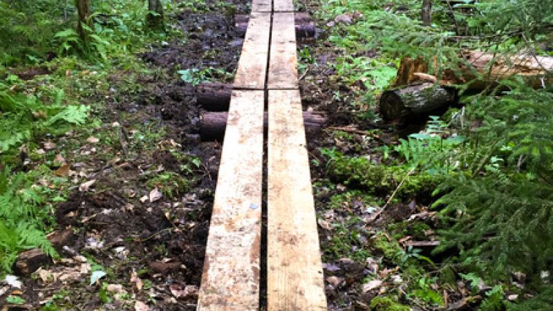 trail boardwalk