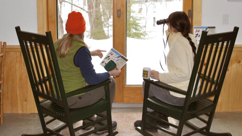 Backyard Birders
