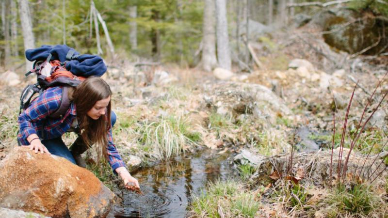 Looking at Wildlife in Stream