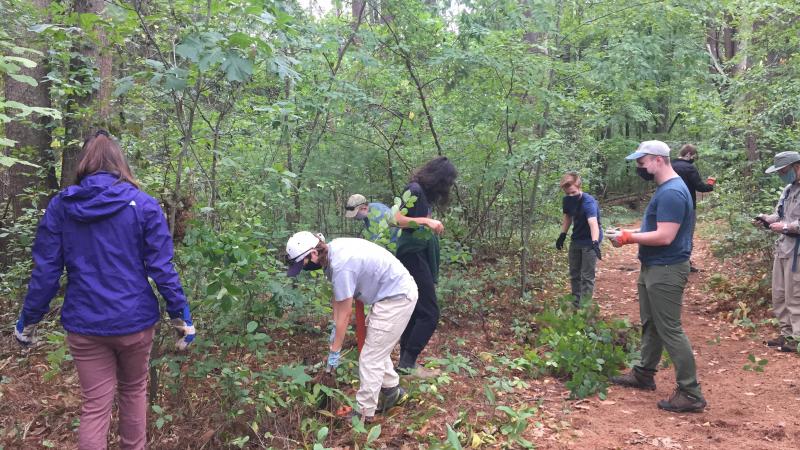 Blast the Buckthorn