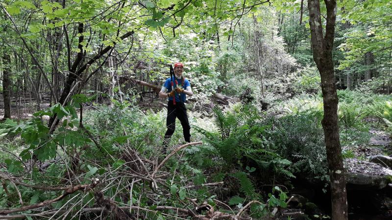 Volunteer working at Sewall Woods Conservation Area