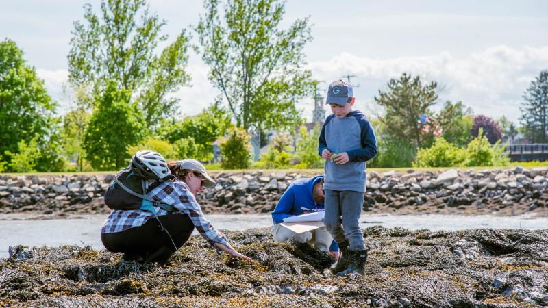 Green crab hunt volunteers