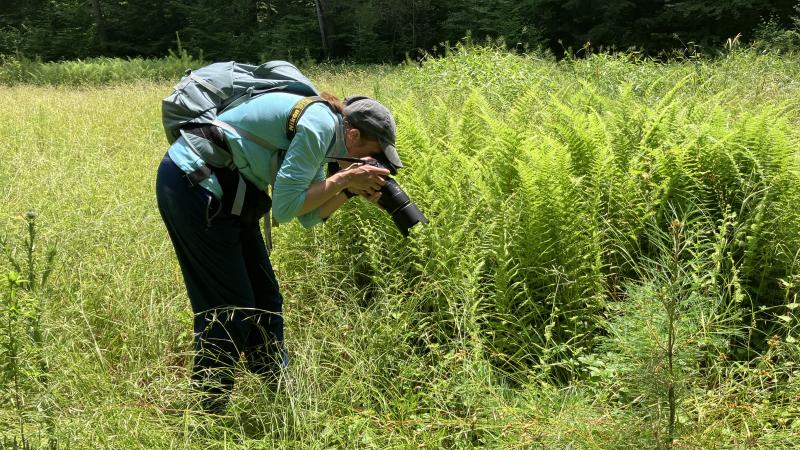 volunteer using camera to take pictures