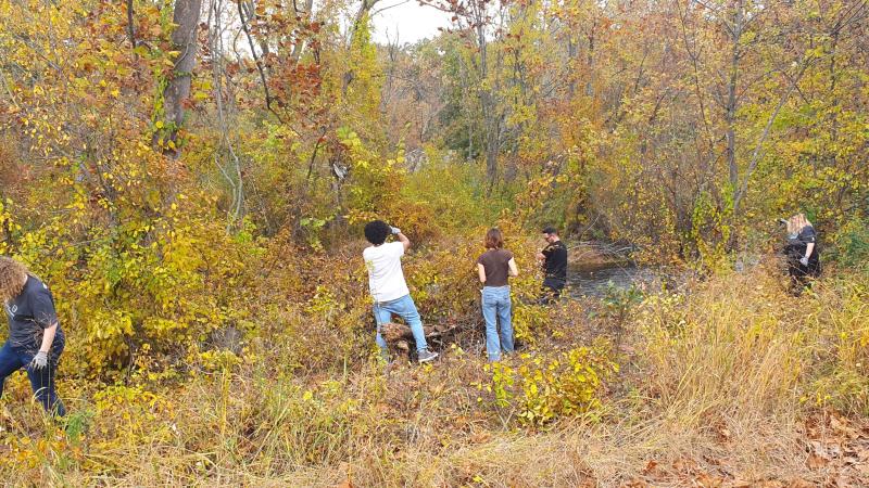 Volunteers cleaning shrubland