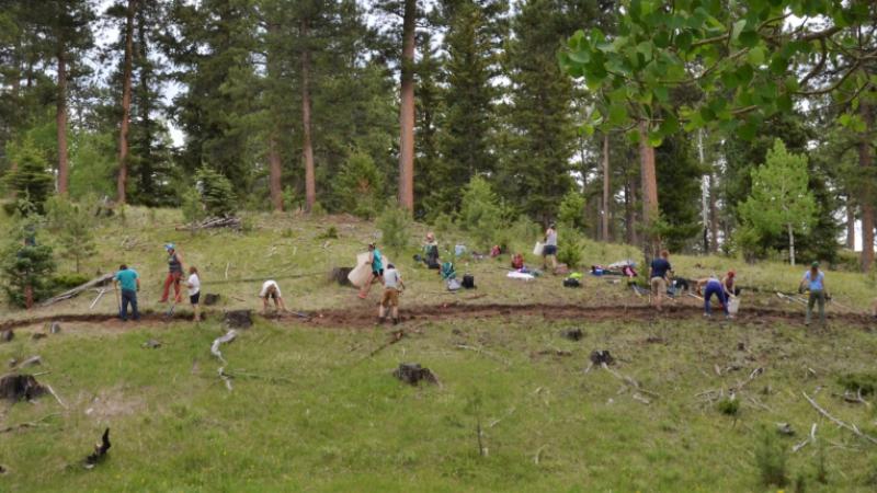 Volunteering on Trails