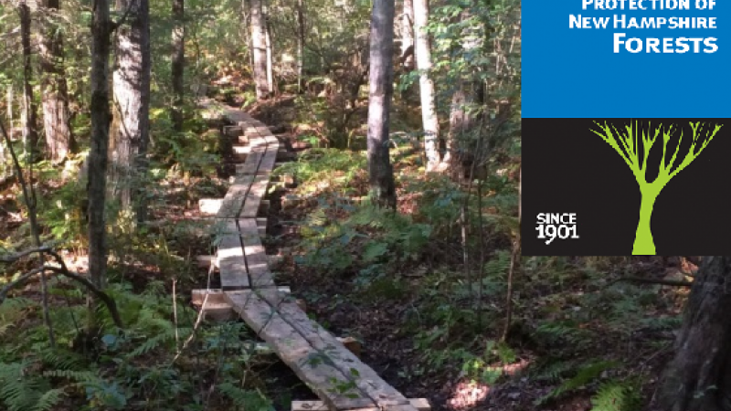 Bog Bridges