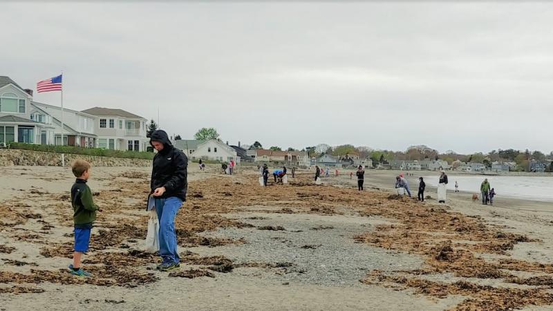 Volunteers Picking Up Trash