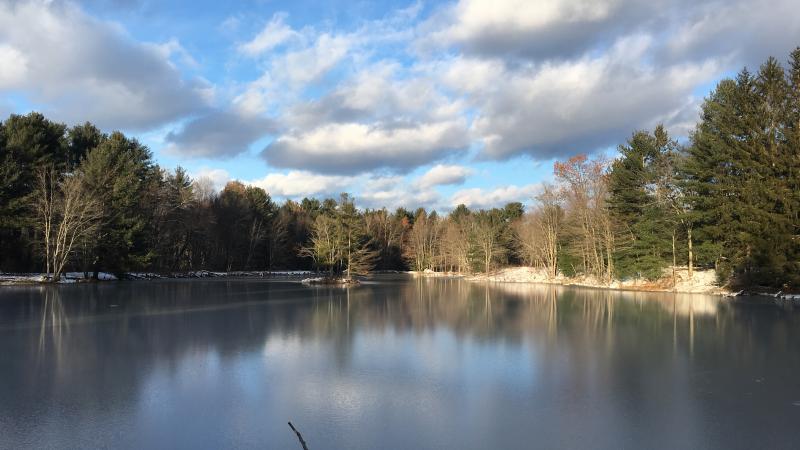 Frozen Lake