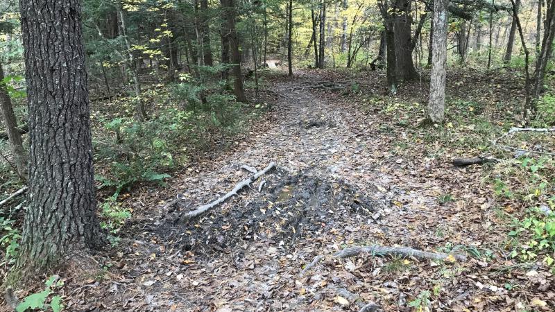Trail