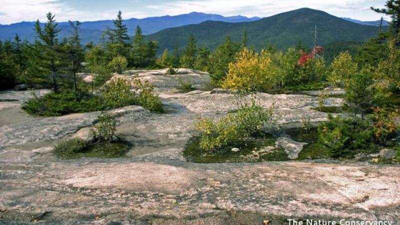 Mountain Top View