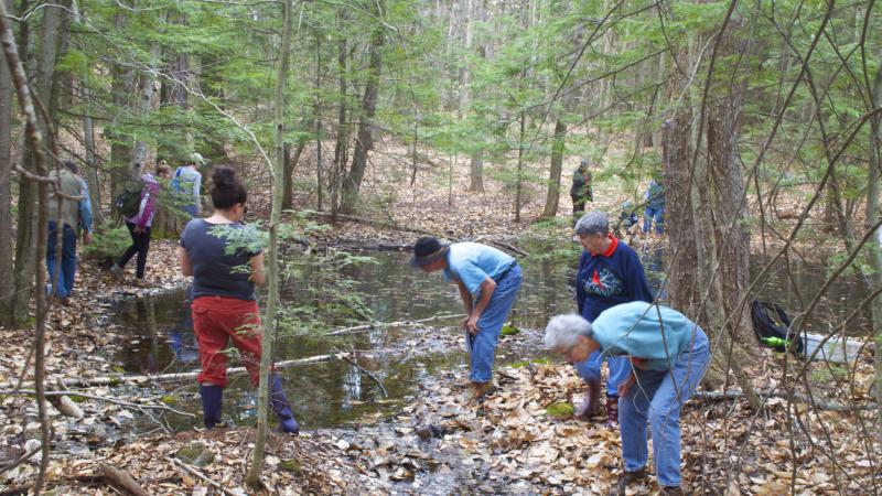 BioBlitz Volunteers