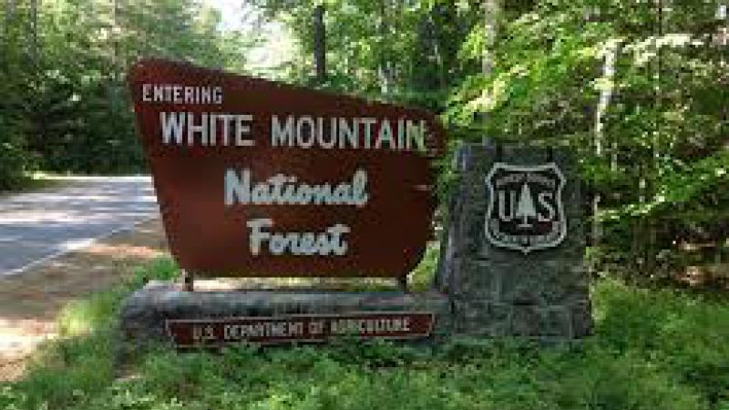 White Mountain National Forest Sign