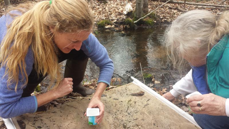 Volunteers examining samples from a stream.